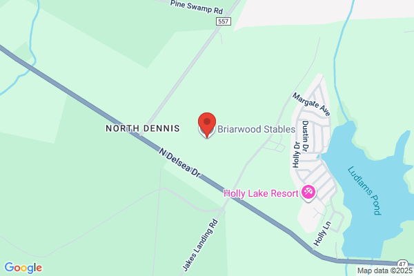 Briarswood Stables