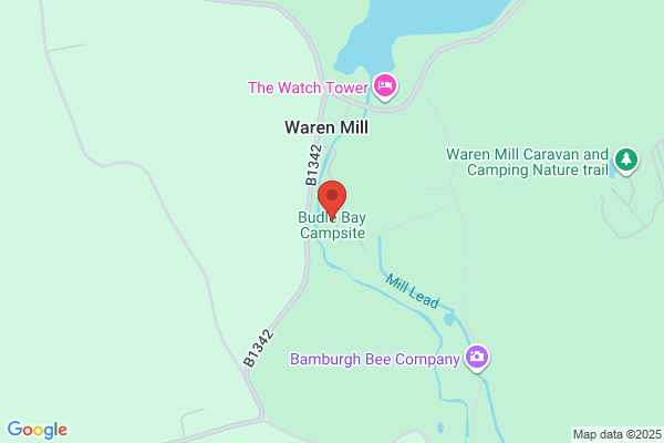 Budle Bay Camp Site