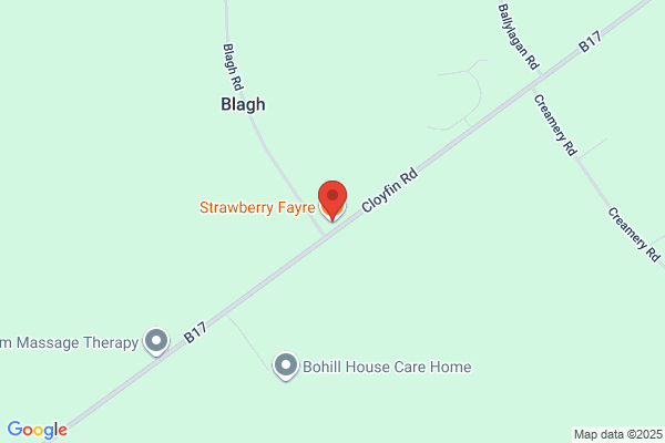 Strawberry Fayre