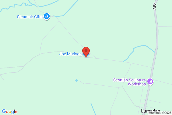 Joe Murison