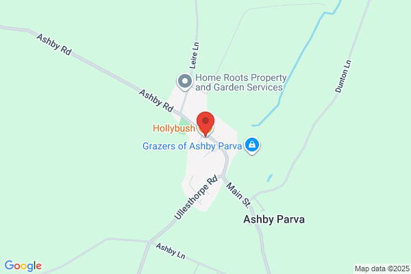 Hollybush