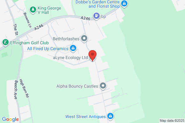 Alana Ecology Ltd