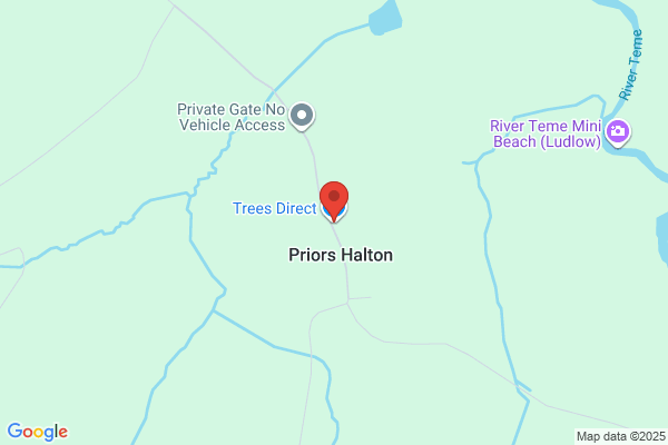 Trees Direct