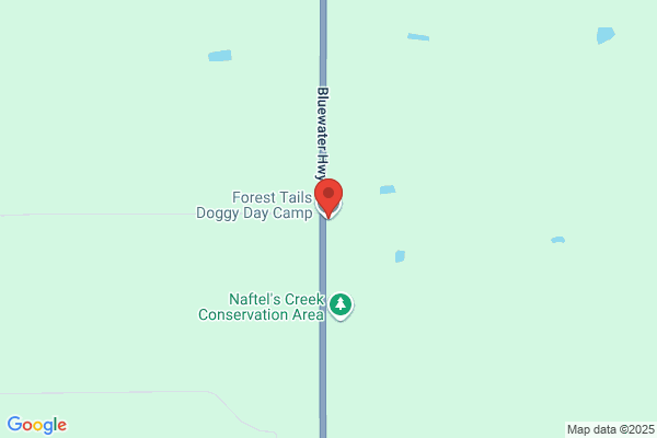 Forest Tails Dog Grooming