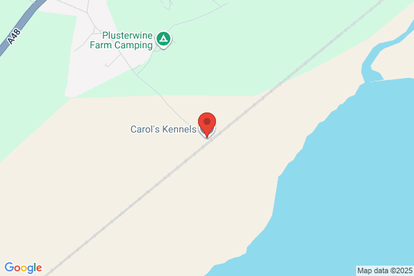 Carols Kennels