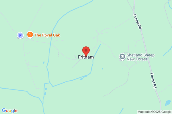 New Forest Nursing Home