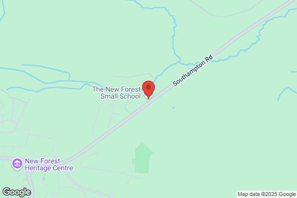 New Forest Small School