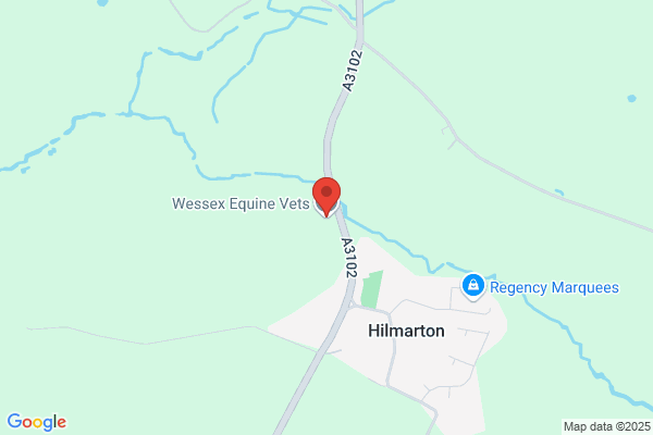 Wessex Equine Vets