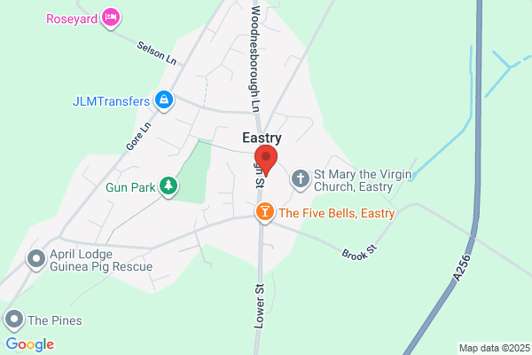 Beacon View Vets