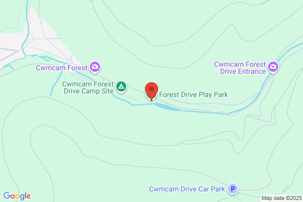 Forest Drive