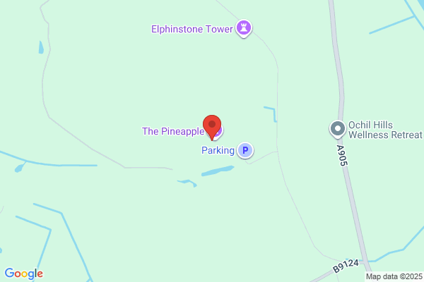 The Pineapple