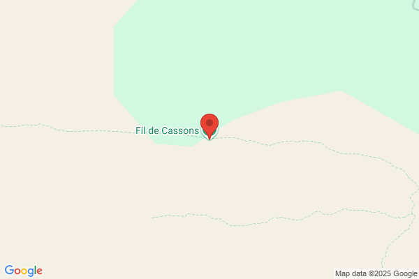 Cassons