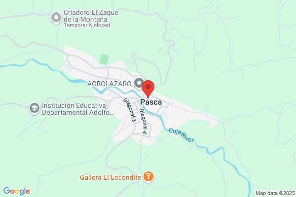 S Pascau & Co