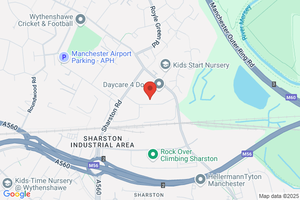 V F M Auto Service Centre Ltd