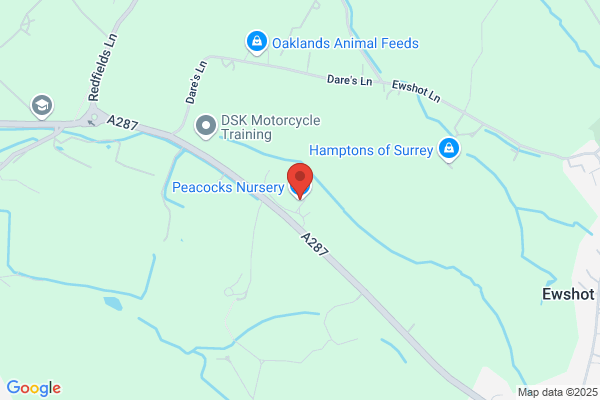 Peacocks Nursery