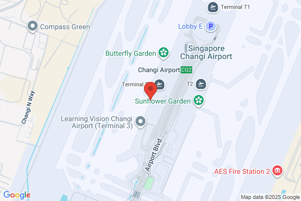 Airport Guided Tours