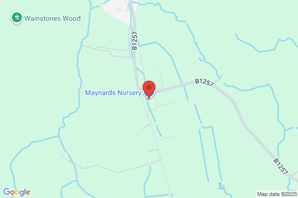 Maynards Nursery