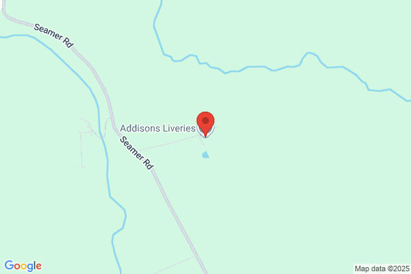 Addisons Liverys