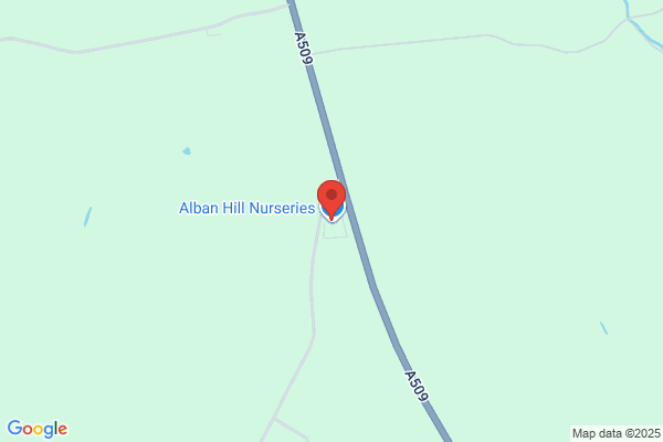 Alban Hill Nursery