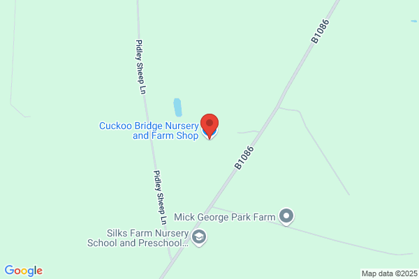 Cuckoo Spit Nurseries