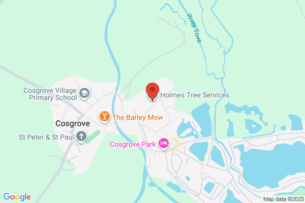 Pope Conifers