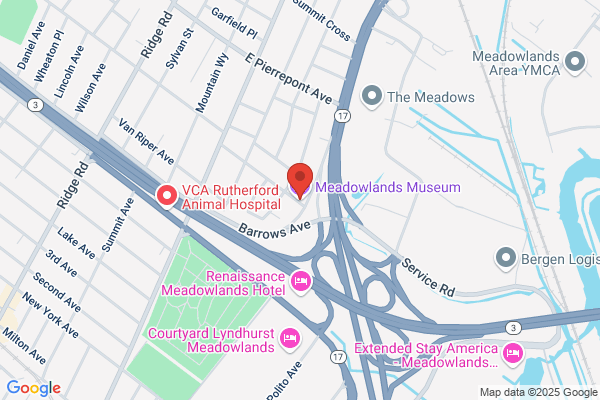Meadowlands Gallery