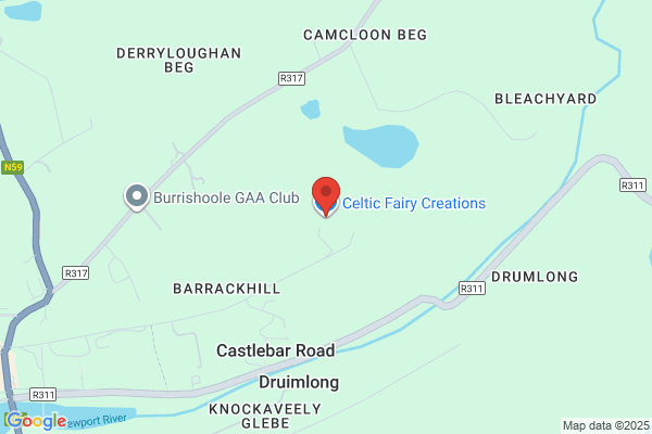 The Celtic Fairy