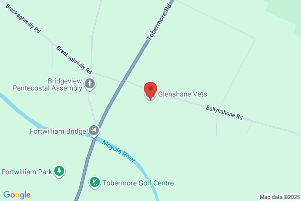 Maghera Vets