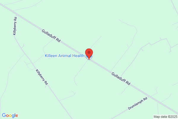 Killeen Animal Health