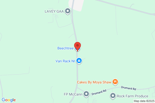 Beechtree
