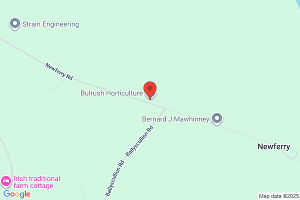 Bulrush Horticultural Ltd