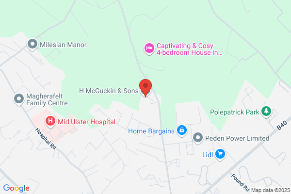H McGuckin & Sons