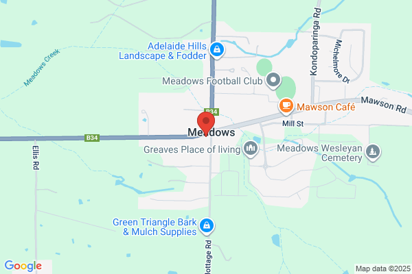 Meadows Hotel