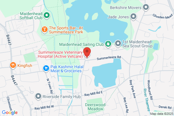 Summerleaze Veterinary Hospital (Active Vetcare)
