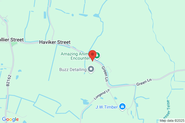 collier Street caravans
