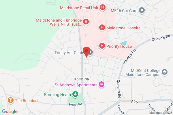 Domino's Pizza - Maidstone - Barming