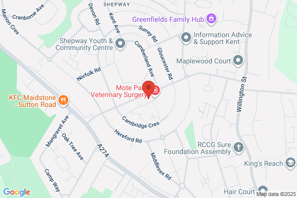 Shepway Library