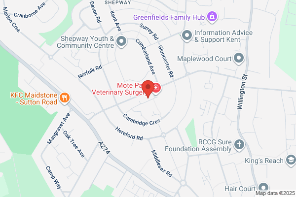 Maidstone Housing Trust