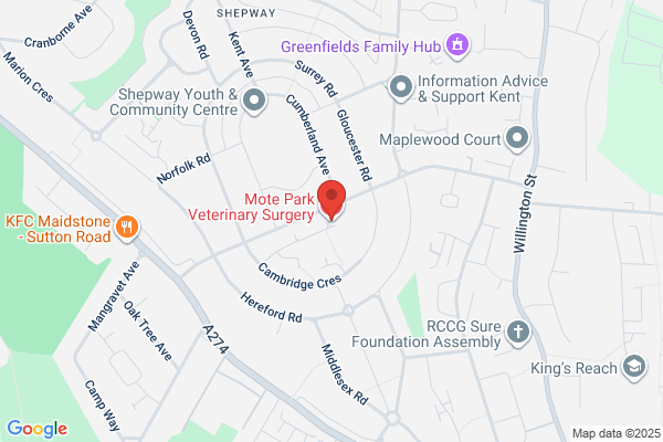 Mote Park Veterinary Surgery