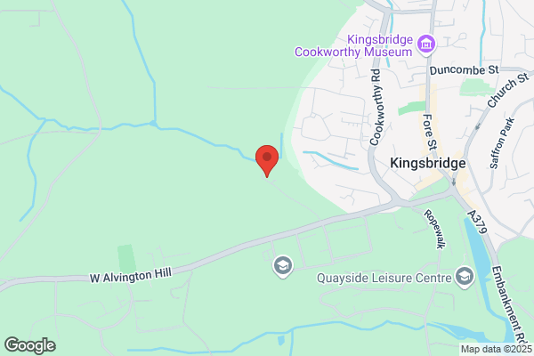 Kingsalton Ltd