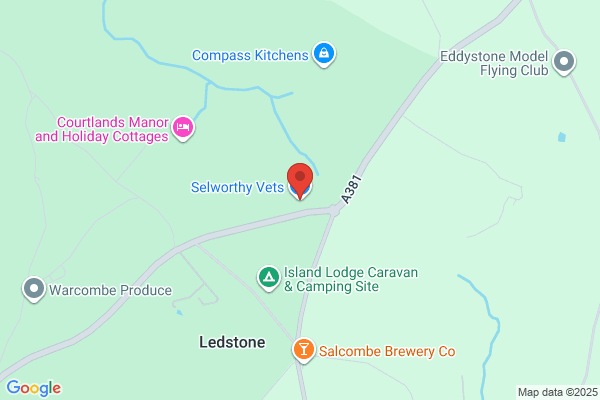 Selworthy Veterinary Group
