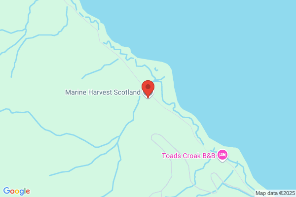 Marine Harvest (Scotland) Ltd