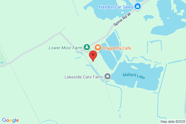 The Lower Moor Fishery