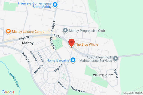 The Blue Whale