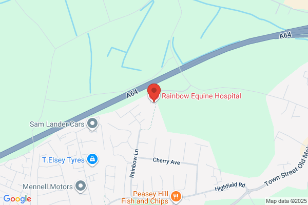 Rainbow Equine Hospital
