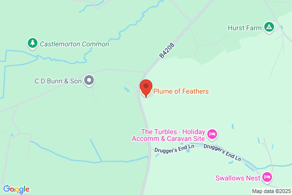 Plume Of Feathers