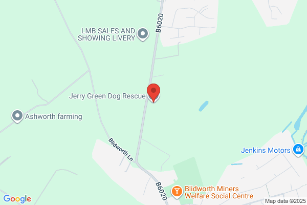 Jay Gee Dog Sanctuary
