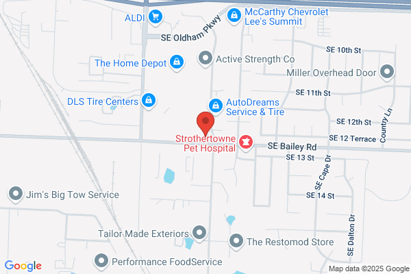 Taylor Construction Services