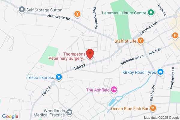 Thompsons Veterinary Surgery