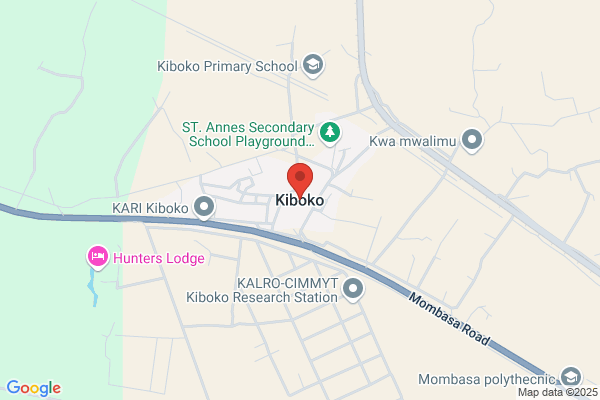 Kiboko